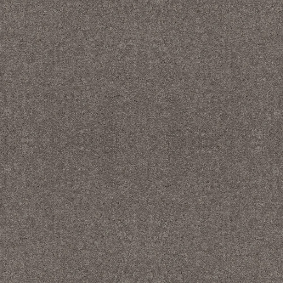 FULL COURT 12' - Ink Spot 00501