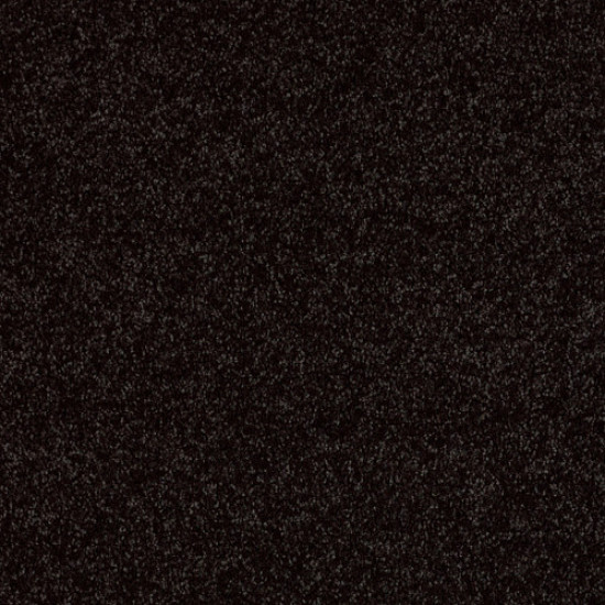 FULL COURT 12' - Armour 00502