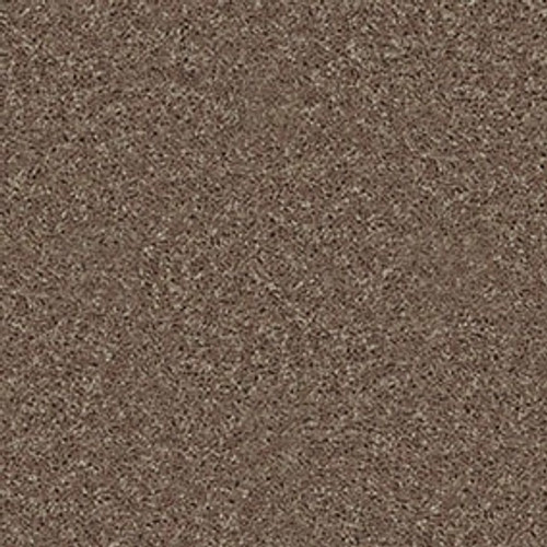 ALL STAR WEEKEND II 12' - Granola 00701
