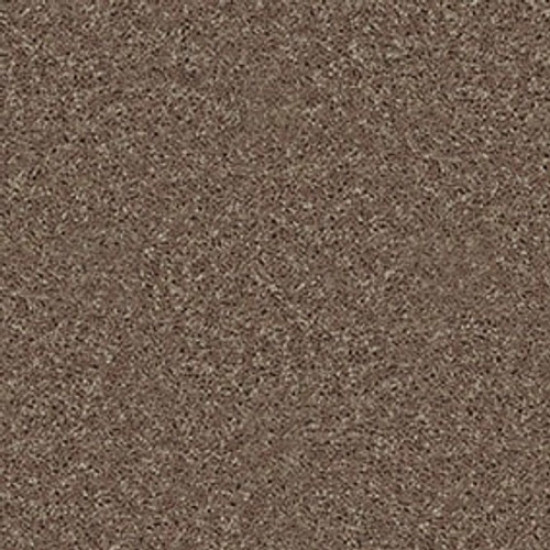 ALL STAR WEEKEND II 12' - Granola 00701 ALL STAR WEEKEND II 12' - Granola 00701