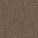 ALL STAR WEEKEND II 12' - Granola 00701 ALL STAR WEEKEND II 12' - Granola 00701