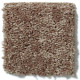ALL STAR WEEKEND II 12' - Granola 00701 ALL STAR WEEKEND II 12' - Granola 00701