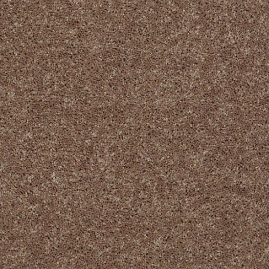ALL STAR WEEKEND II 12' - Granola 00701 ALL STAR WEEKEND II 12' - Granola 00701