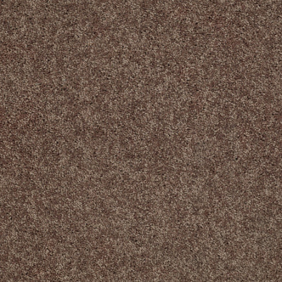 FULL COURT 12' - Cattail 00702