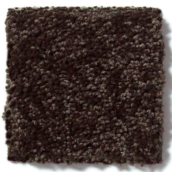 FULL COURT 12' - Coffee Bean 00705 FULL COURT 12' - Coffee Bean 00705