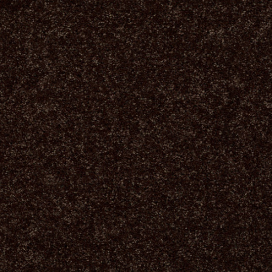 FULL COURT 12' - Coffee Bean 00705 FULL COURT 12' - Coffee Bean 00705