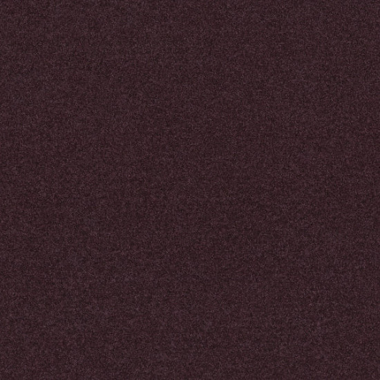 POINT GUARD 12' - Royal Purple 00902