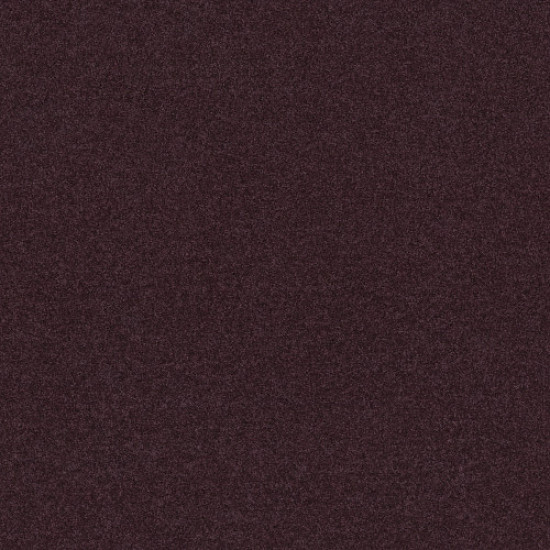 ALL STAR WEEKEND II 12' - Royal Purple 00902