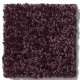 ALL STAR WEEKEND II 12' - Royal Purple 00902