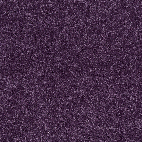 ALL STAR WEEKEND II 12' - Grape Slushy 00931