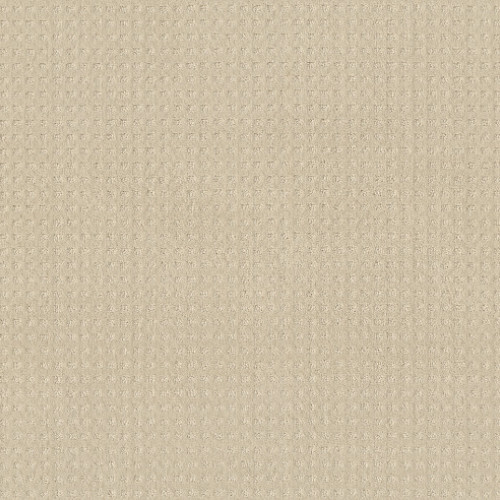 ALLURING DISPOSITION - Ivory Paper 00180