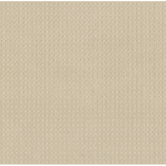 ALLURING DISPOSITION - Ivory Paper 00180 ALLURING DISPOSITION - Ivory Paper 00180