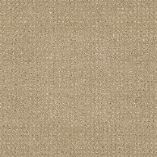 ALLURING DISPOSITION - Shoreline 00183