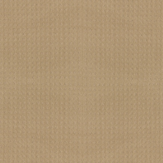 ALLURING DISPOSITION - Golden Rule 00185 ALLURING DISPOSITION - Golden Rule 00185