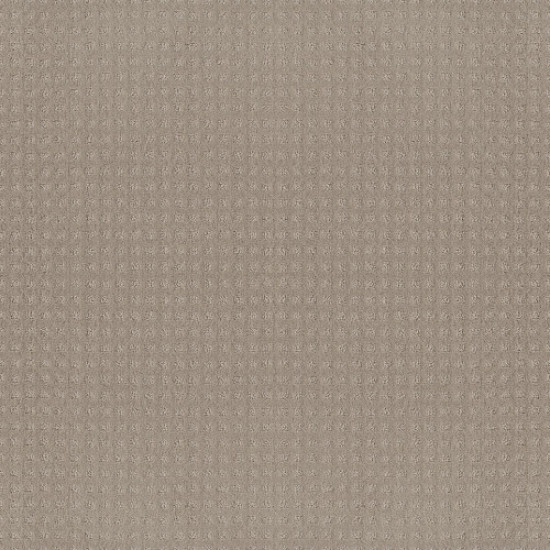 ALLURING DISPOSITION - Mindful 00190 ALLURING DISPOSITION - Mindful 00190