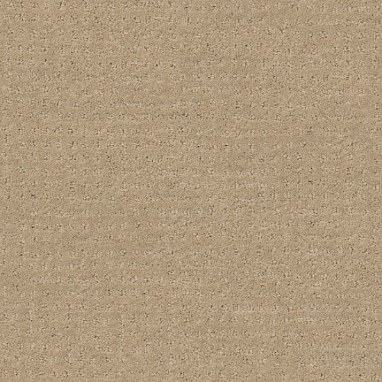 ALLURING DISPOSITION - Espresso 00192 ALLURING DISPOSITION - Espresso 00192
