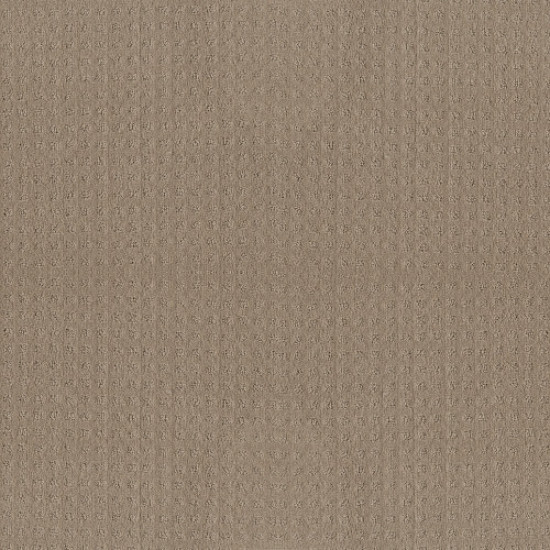 ALLURING DISPOSITION - Espresso 00192 ALLURING DISPOSITION - Espresso 00192