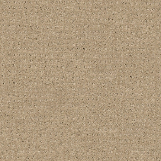 ALLURING DISPOSITION - Espresso 00192 ALLURING DISPOSITION - Espresso 00192