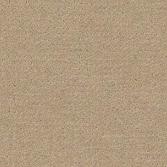 ALLURING DISPOSITION - Espresso 00192 ALLURING DISPOSITION - Espresso 00192