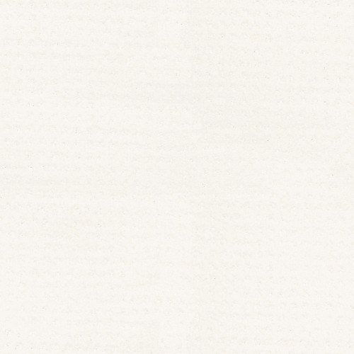ALLURING DISPOSITION - White Hot 00170