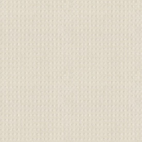 ALLURING DISPOSITION - Crisp Linen 00171