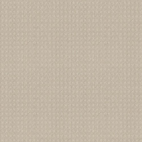 ALLURING DISPOSITION - Alabaster 00172