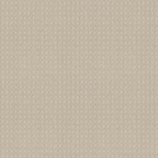 ALLURING DISPOSITION - Alabaster 00172
