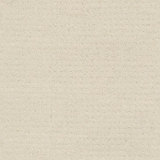 ALLURING DISPOSITION - Alabaster 00172