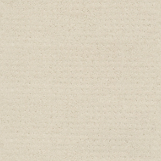 ALLURING DISPOSITION - Alabaster 00172