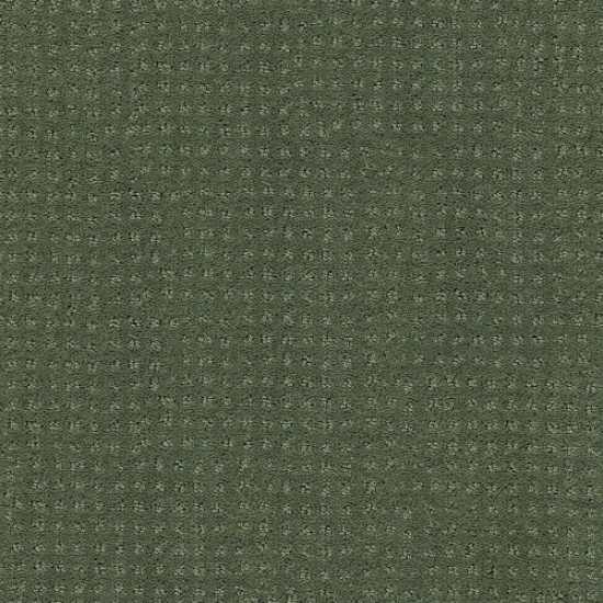 ALLURING DISPOSITION - Lush Garden 00391 ALLURING DISPOSITION - Lush Garden 00391