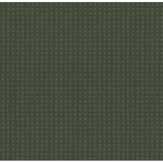 ALLURING DISPOSITION - Lush Garden 00391 ALLURING DISPOSITION - Lush Garden 00391