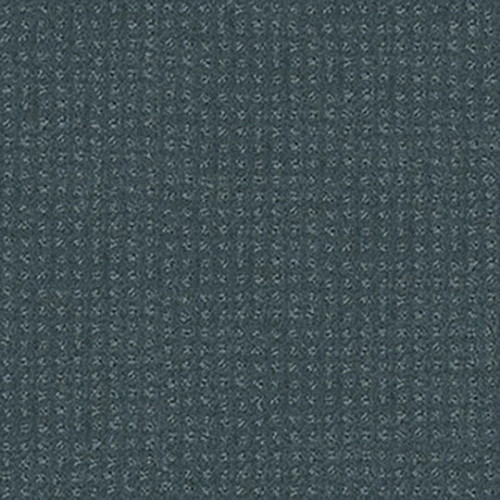 ALLURING DISPOSITION - Oceanside 00493