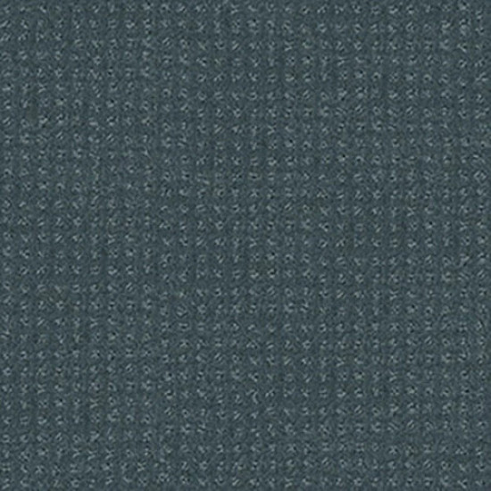 ALLURING DISPOSITION - Oceanside 00493 ALLURING DISPOSITION - Oceanside 00493