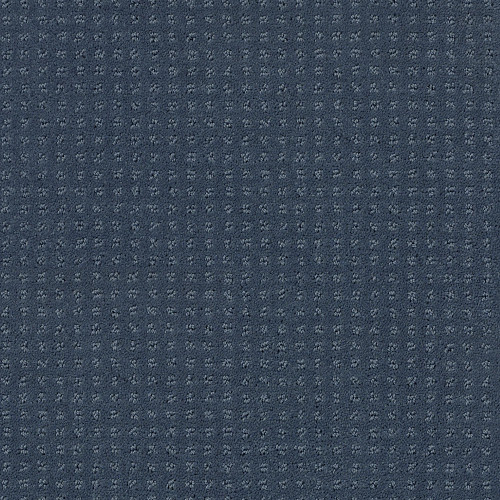ALLURING DISPOSITION - Royal Navy 00470