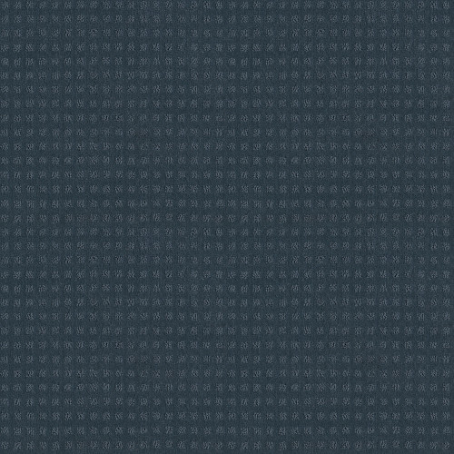 ALLURING DISPOSITION - Royal Navy 00470