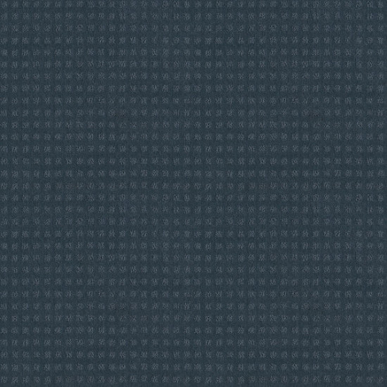 ALLURING DISPOSITION - Royal Navy 00470