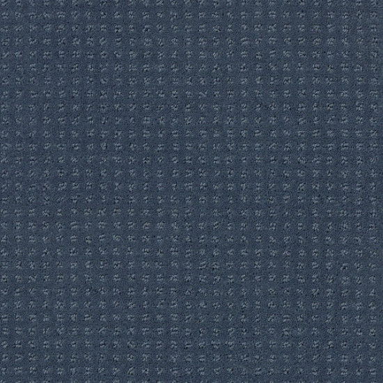 ALLURING DISPOSITION - Royal Navy 00470