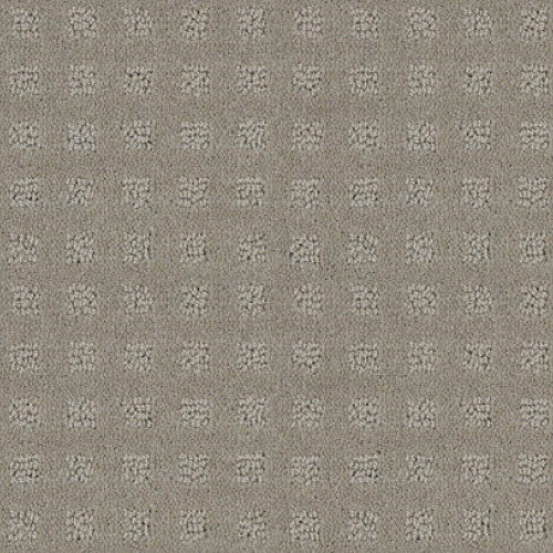 ALLURING DISPOSITION - Lady In Gray 00590