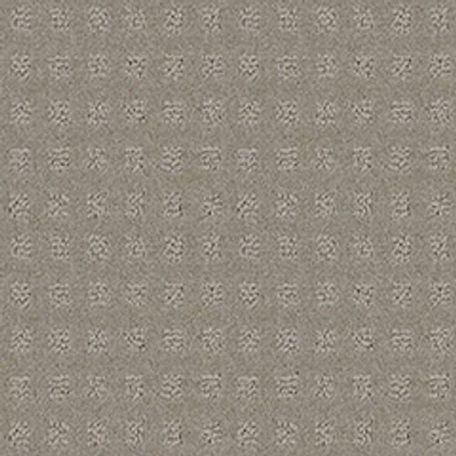 ALLURING DISPOSITION - Lady In Gray 00590