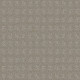 ALLURING DISPOSITION - Lady In Gray 00590