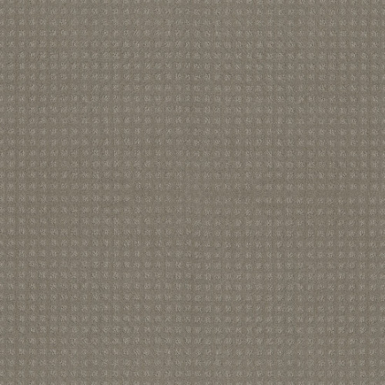 ALLURING DISPOSITION - Lady In Gray 00590