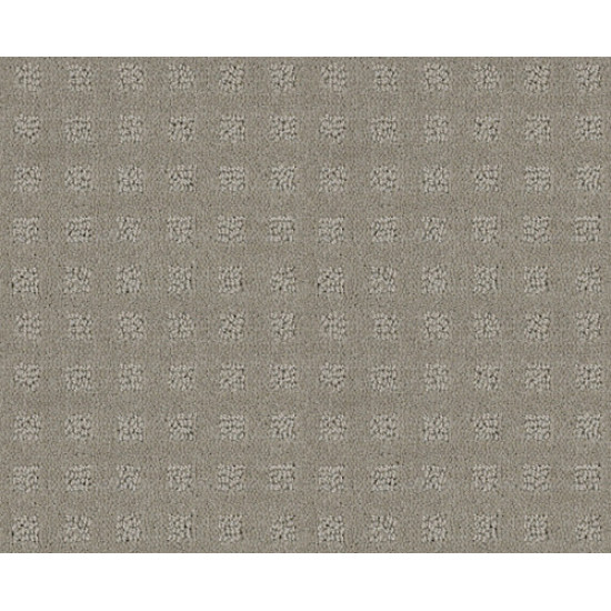 ALLURING DISPOSITION - Lady In Gray 00590