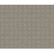 ALLURING DISPOSITION - Lady In Gray 00590
