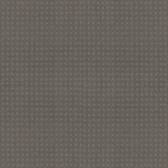 ALLURING DISPOSITION - Slate 00570
