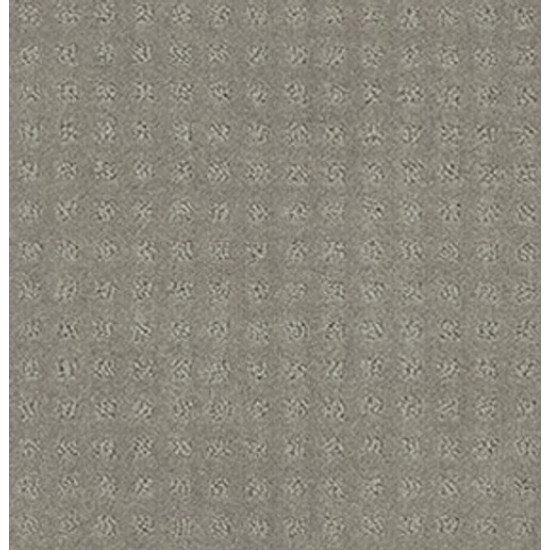 ALLURING DISPOSITION - Slate 00570