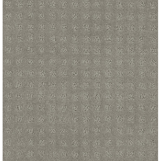 ALLURING DISPOSITION - Slate 00570