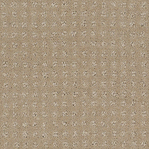 ALLURING DISPOSITION - Safari 00188