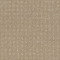 ALLURING DISPOSITION - Safari 00188