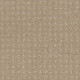 ALLURING DISPOSITION - Safari 00188 ALLURING DISPOSITION - Safari 00188