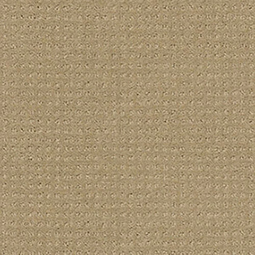 ALLURING DISPOSITION - Safari 00188
